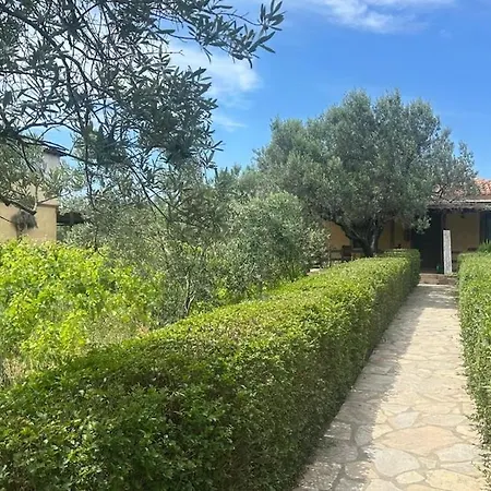 Kbozcaada Revma Country house