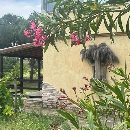 Kbozcaada Revma Country house Bozcaada